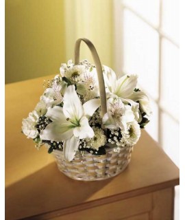 The Divinity Basket